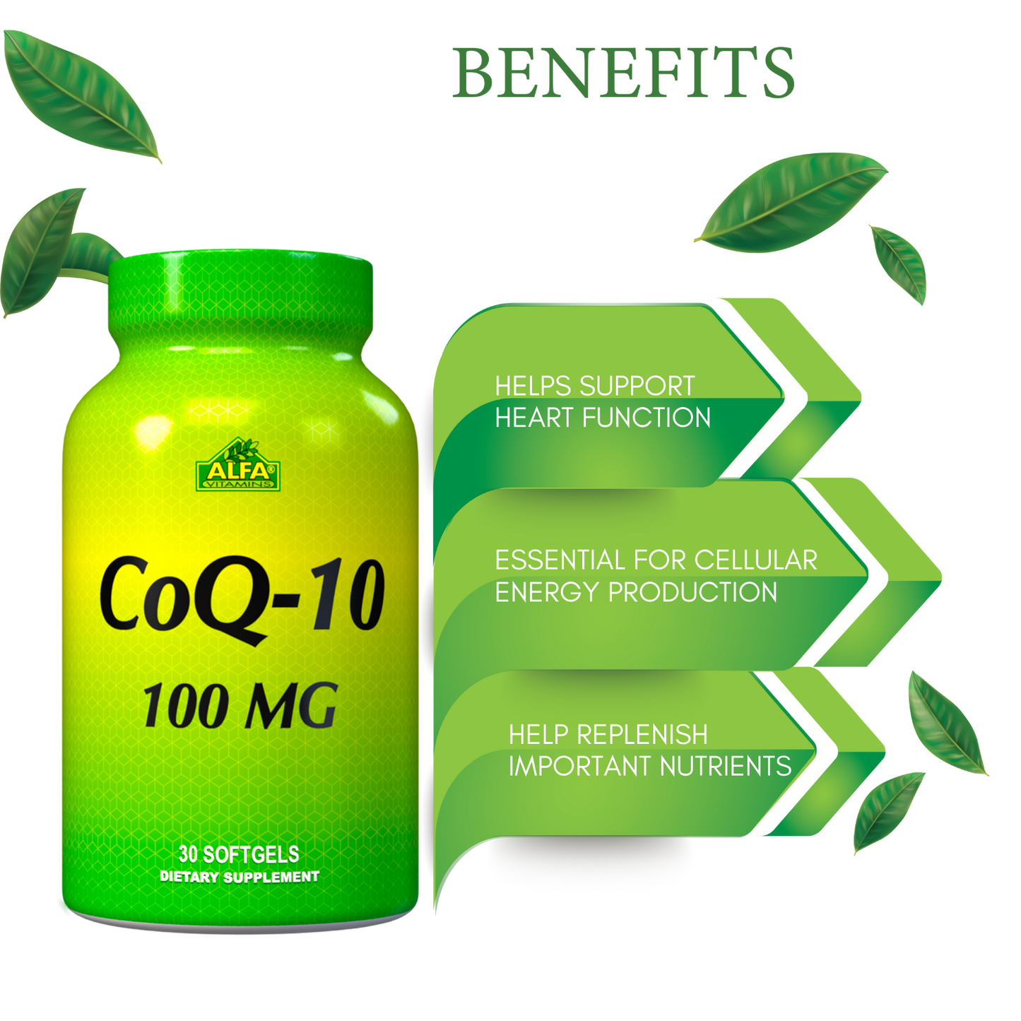Image of a green CoQ-10 bottle marked 100 MG from Alfa Vitamins Store, highlighting benefits with arrows: Supports heart function, Essential for cellular energy production, and Replenishes important nutrients. Surrounded by green leaves, this antioxidant promotes well-being.