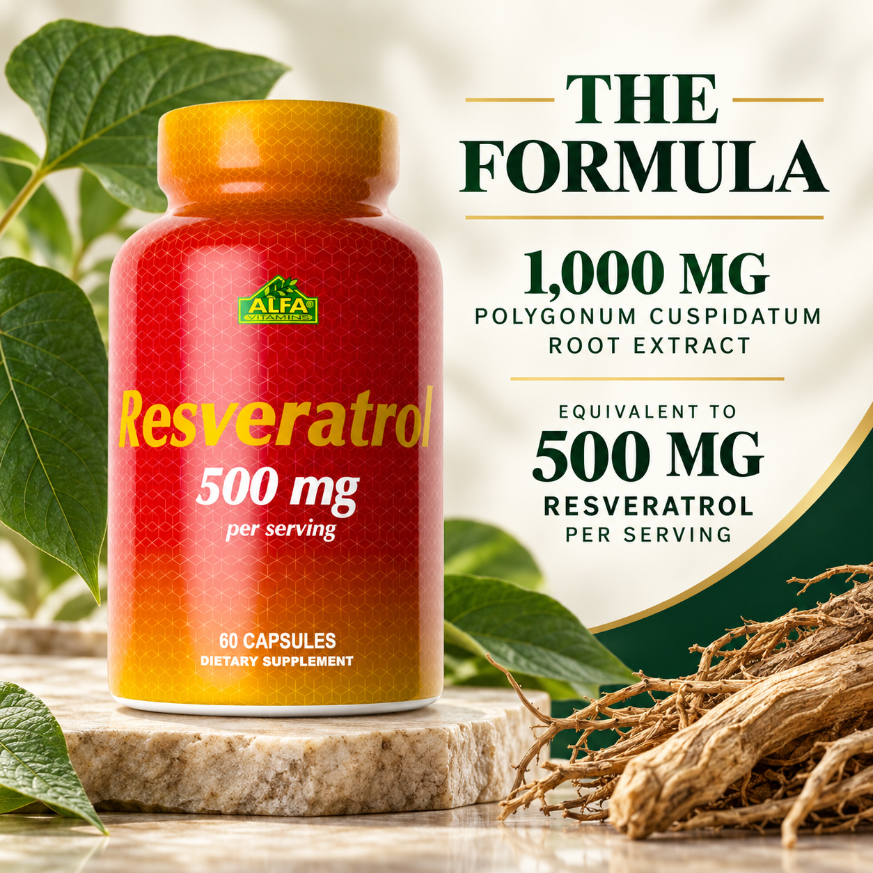 Resveratrol formula: 1,000 mg Polygonum cuspidatum root extract, equivalent to 500 mg resveratrol per serving.