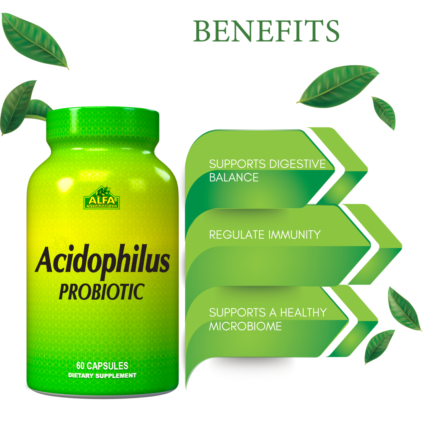 A green bottle of Alfa Vitamins Acidophilus Probiotics 300 mg (60 capsules) is shown, with text highlighting benefits like supporting digestive balance, enhancing digestive health, regulating immunity, and nurturing a healthy microbiome. Green leaves and arrows are used decoratively.