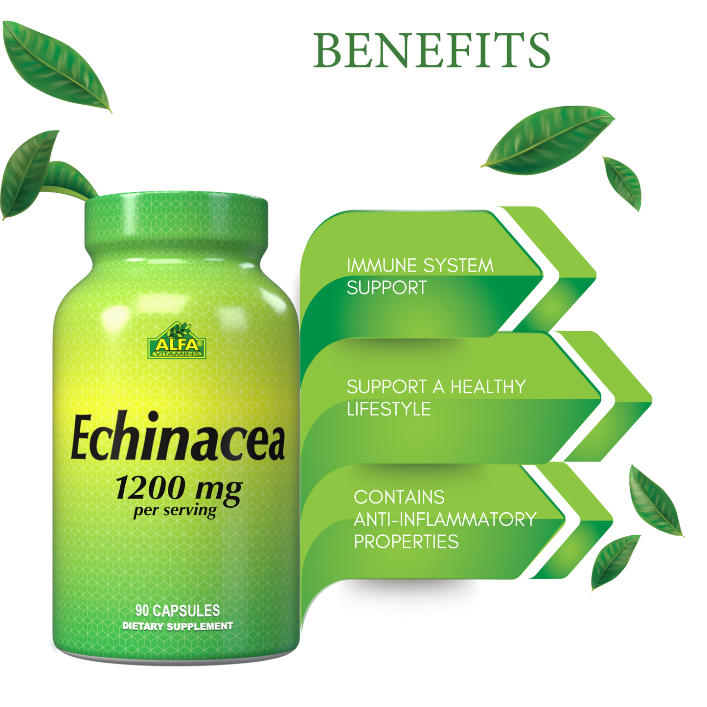 Image of a green Alfa Vitamins bottle labeled Echinacea 1,200 mg - 90 capsules, emphasizing benefits like Immune System Support and anti-inflammatory properties. Decorative leaves and antioxidants highlight its appeal for promoting a healthy lifestyle.