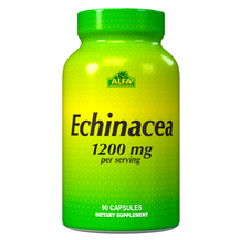 Echinacea 1,200 mg - 90 capsules