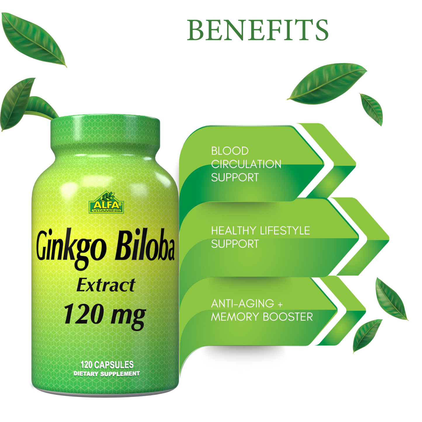 A green bottle of Ginkgo Biloba 120 mg by Alfa Vitamins is featured prominently, adorned with leaves highlighting antioxidant properties. Three green arrows highlight its benefits: Blood Circulation Support, Healthy Lifestyle Support, and Cognitive Health + Memory Booster.