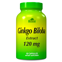 Ginkgo Biloba 120 mg - 120 capsules