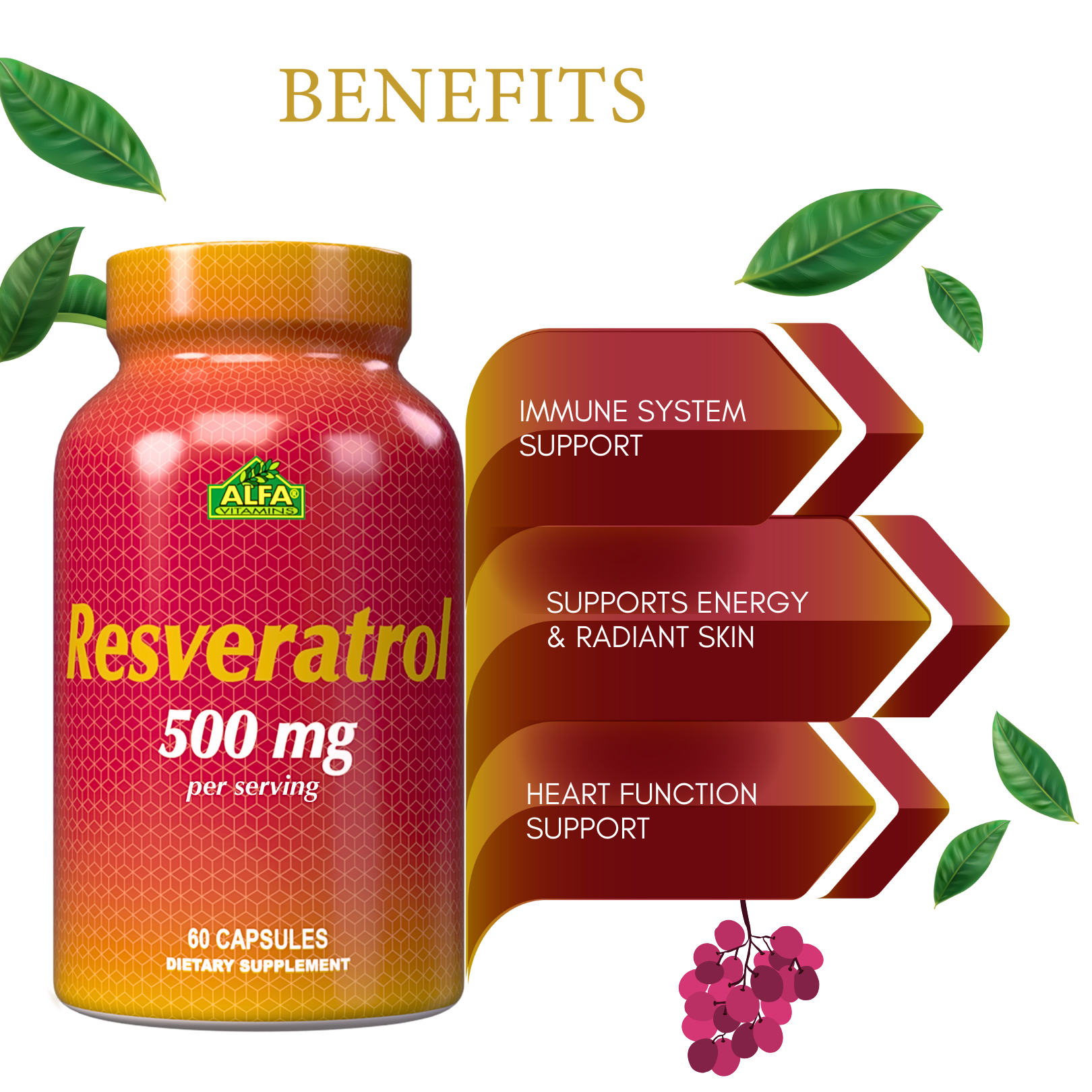 Alfa Vitamins Resveratrol 500 mg - 60 capsules supports immune and heart functions, boosts energy, and promotes radiant skin with antioxidant and anti-inflammatory benefits. The text features leaves and grape graphics.