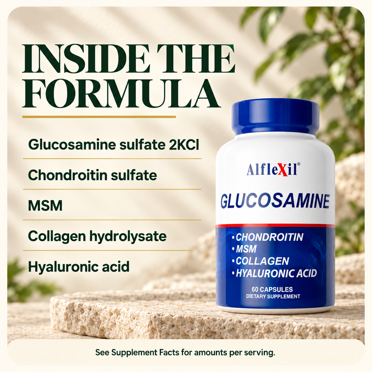 Glucosamine, chondroitin, MSM, collagen hydrolysate and hyaluronic acid.