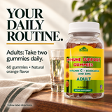 Immune Support Gummies — routine