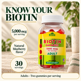 Biotin Gummies — benefits