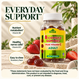 Vitamin B6 nutrient metabolism and vitamin B12 healthy nerve support, with disclaimer.