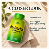 A closer look at Alfa Berberine HCL 1200 mg