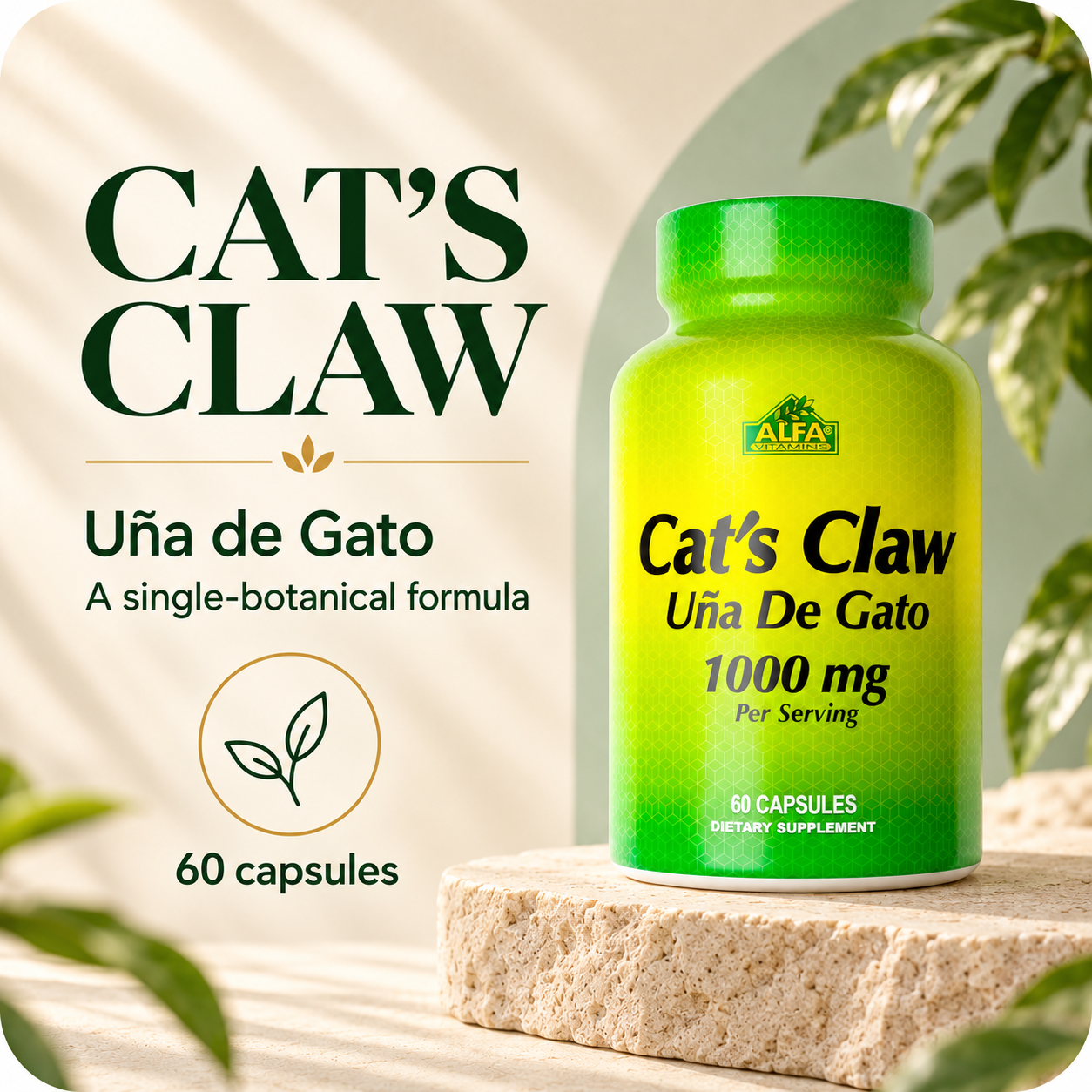 Cat's Claw — overview