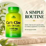 Cat's Claw — routine
