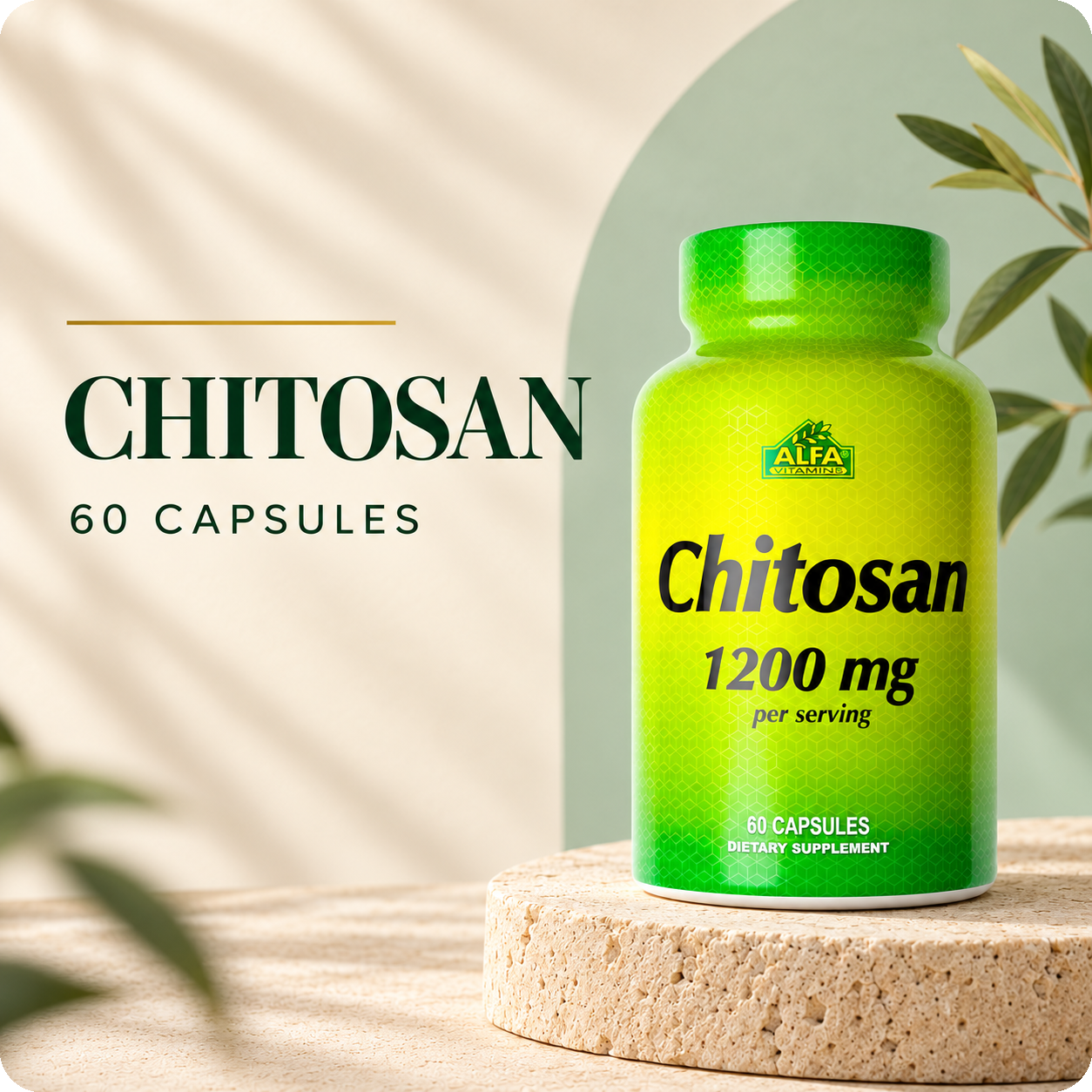 Alfa Vitamins Chitosan, 60 capsules, in the cream and forest-green brand setting.