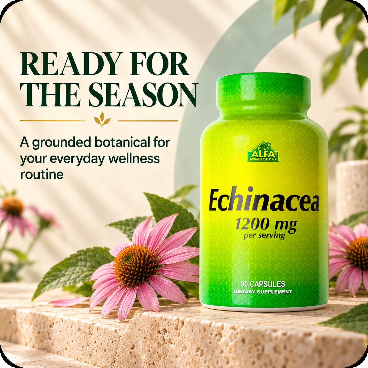 Alfa Vitamins Echinacea 1200 mg for a simple seasonal routine.
