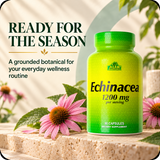 Alfa Vitamins Echinacea 1200 mg for a simple seasonal routine.