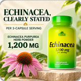 Echinacea formula: 1200 mg per three-capsule serving.