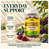 Alfa Vitamins Elderberry plus C and Zinc Gummies — benefits.