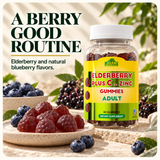 Alfa Vitamins Elderberry plus C and Zinc Gummies — format.