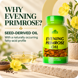 Evening primrose seed-derived oil and its naturally occurring fatty acid profile.