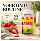 Alfa Vitamins Fiber Gummies, natural strawberry flavor — routine.
