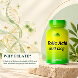Folate educational information supported by primary references.
