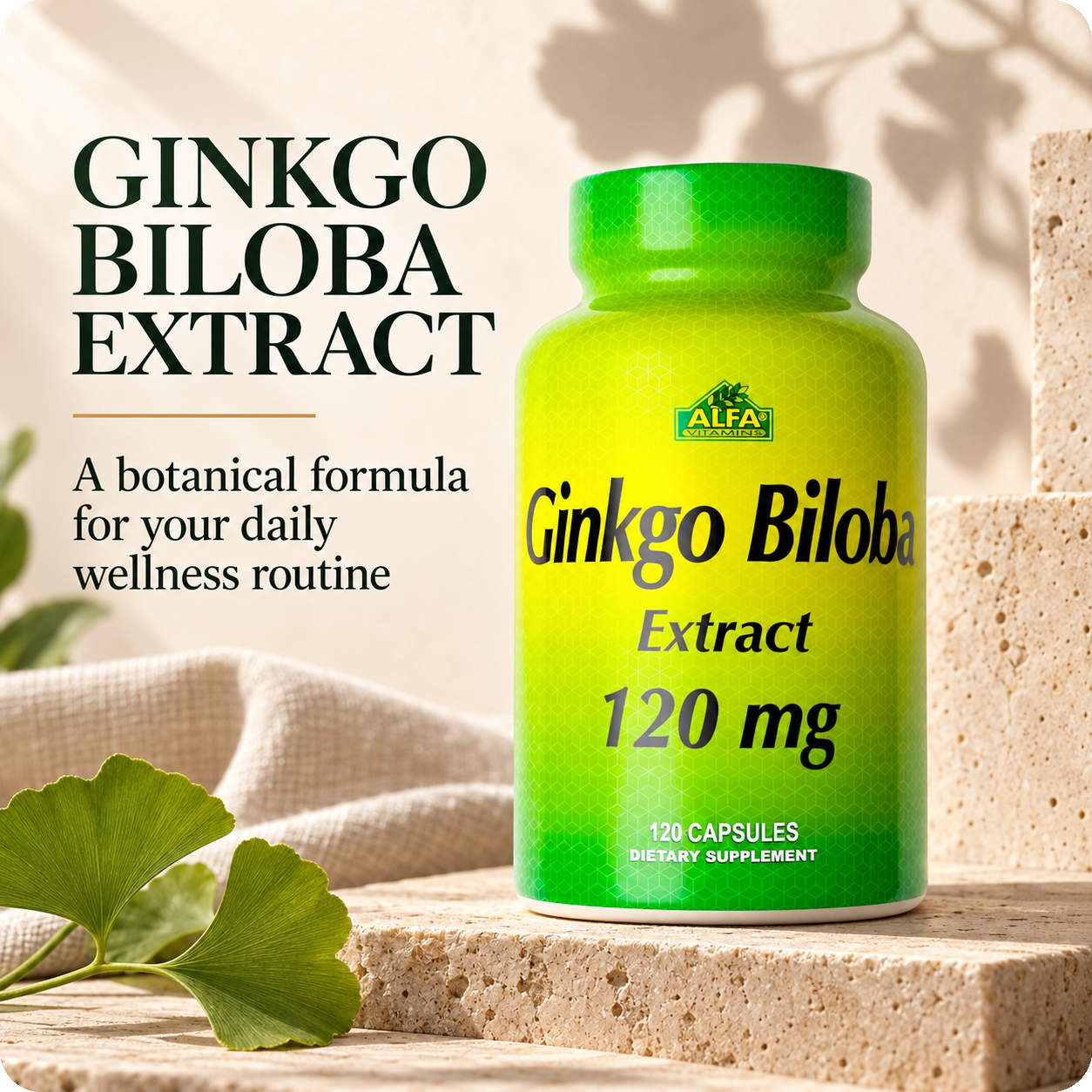 Ginkgo Biloba Extract 120 mg, 120 capsules — botanical identity