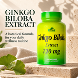 Ginkgo Biloba Extract 120 mg, 120 capsules — botanical identity