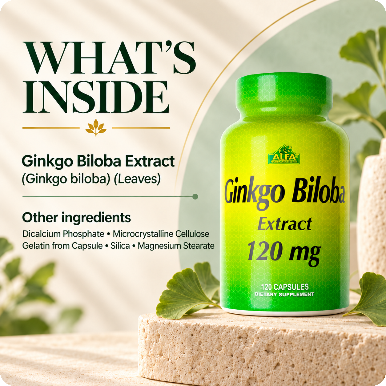 Ginkgo Biloba verified other ingredients and label essentials