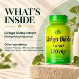 Ginkgo Biloba verified other ingredients and label essentials