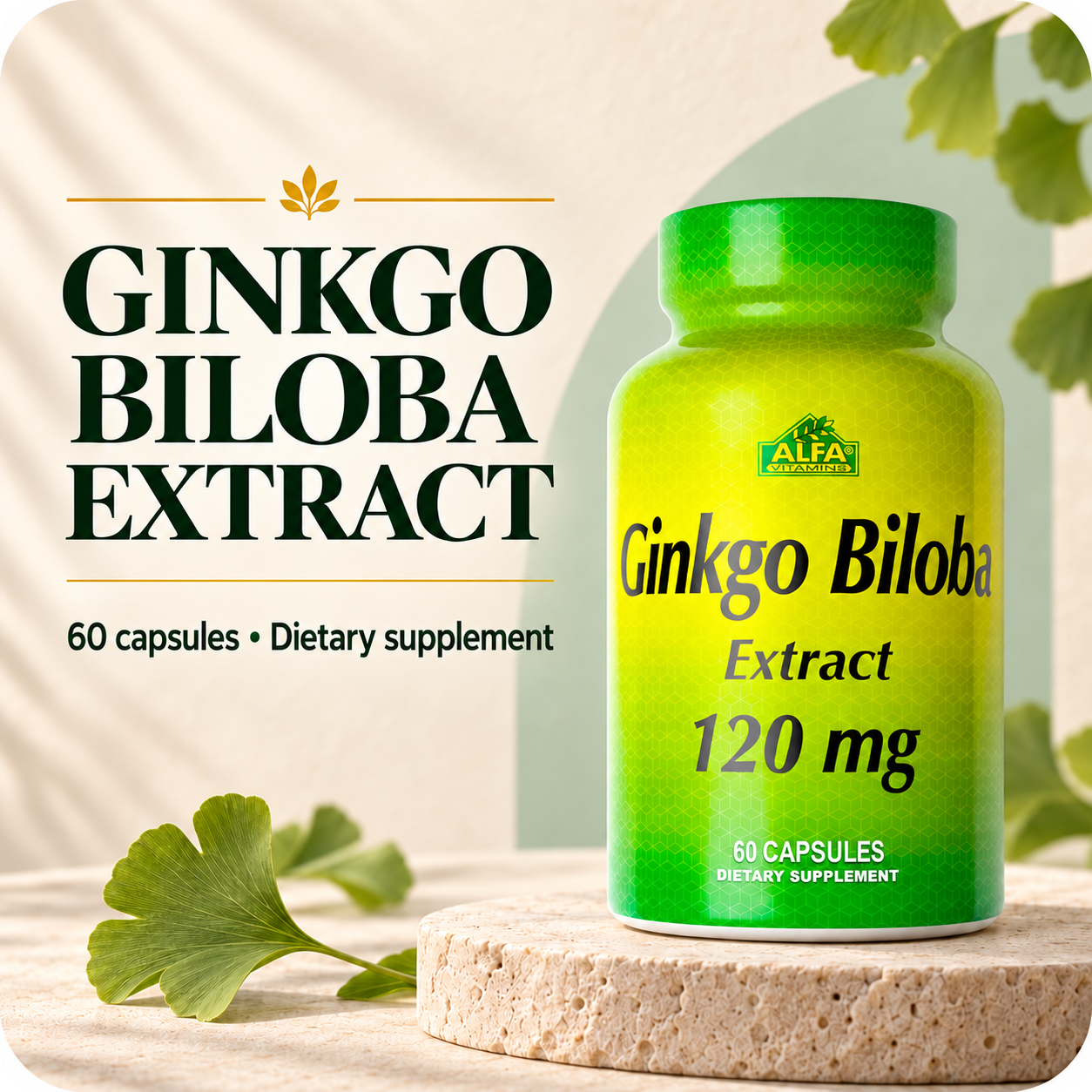 Ginkgo Biloba 120 mg, 60 capsules — botanical identity