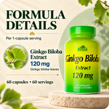 Ginkgo Biloba Extract 120 mg per capsule — formula details