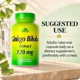 Ginkgo Biloba directions — one capsule daily, preferably with a meal