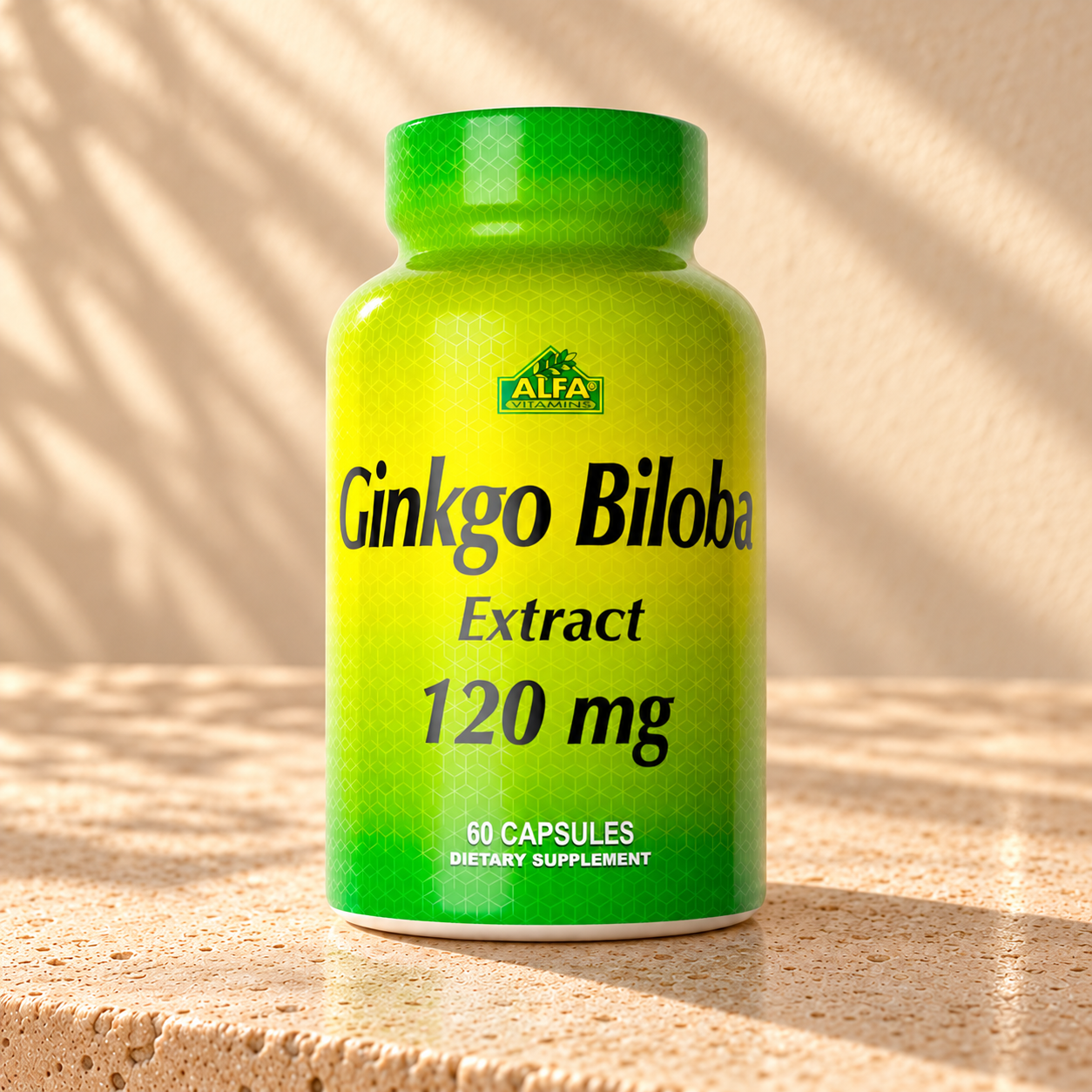 Ginkgo Biloba 120 mg - 60 capsules
