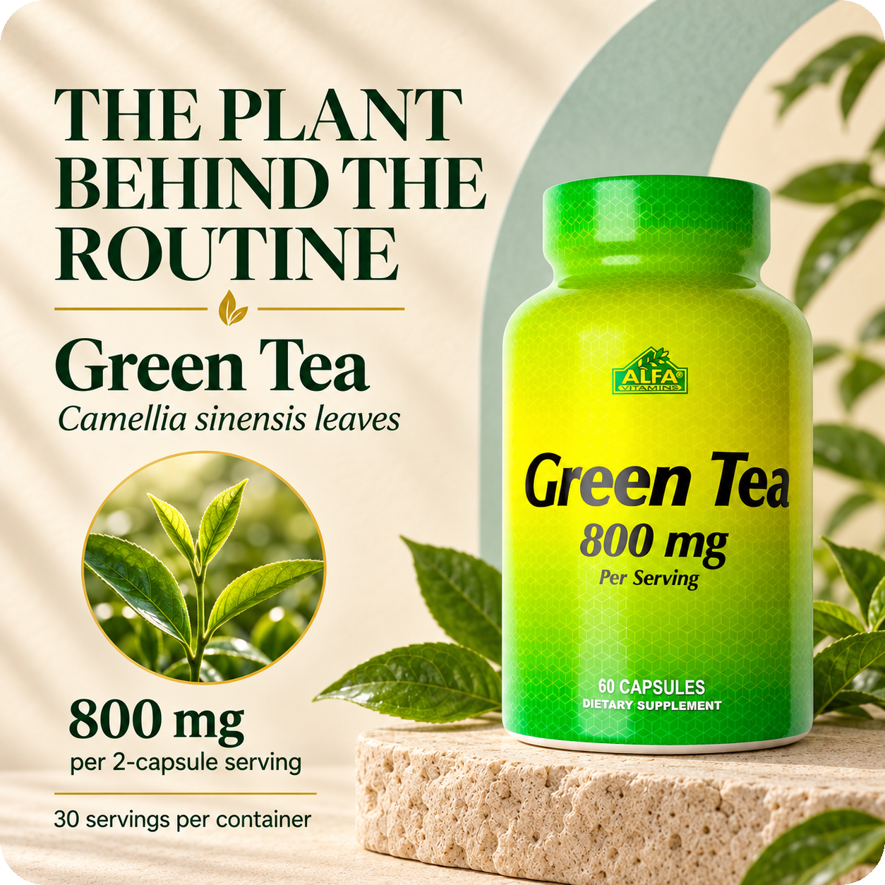 Green Tea formula: Camellia sinensis leaves 800 mg per two-capsule serving.