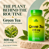 Green Tea formula: Camellia sinensis leaves 800 mg per two-capsule serving.