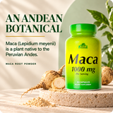 Alfa Vitamins Maca 1000 mg botanical overview