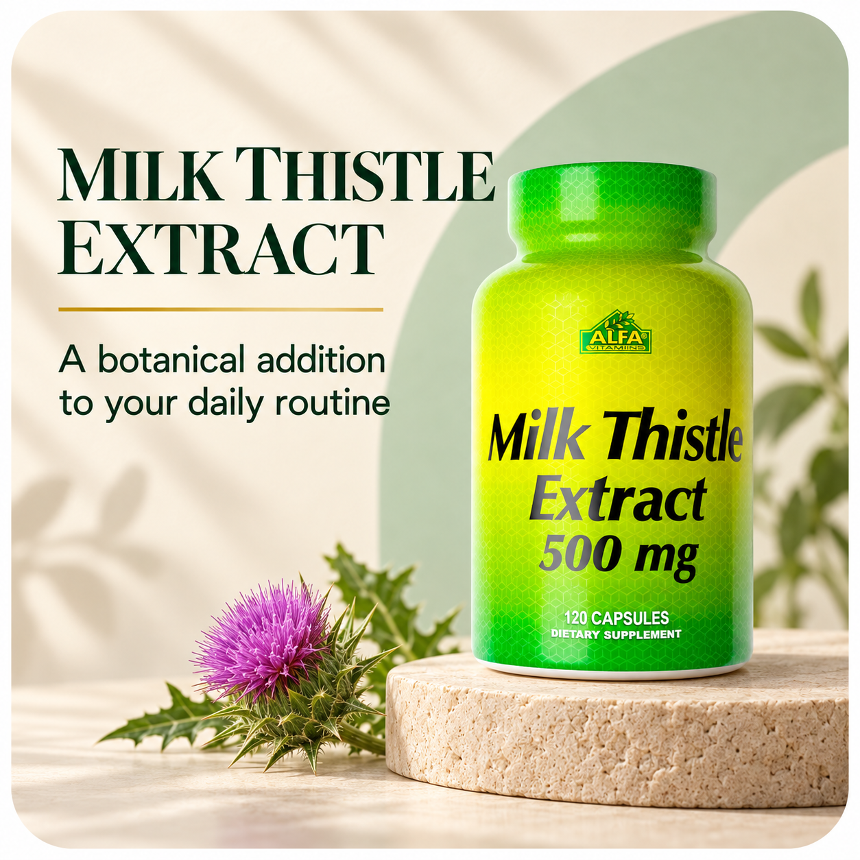 Milk Thistle Extract — botanical routine