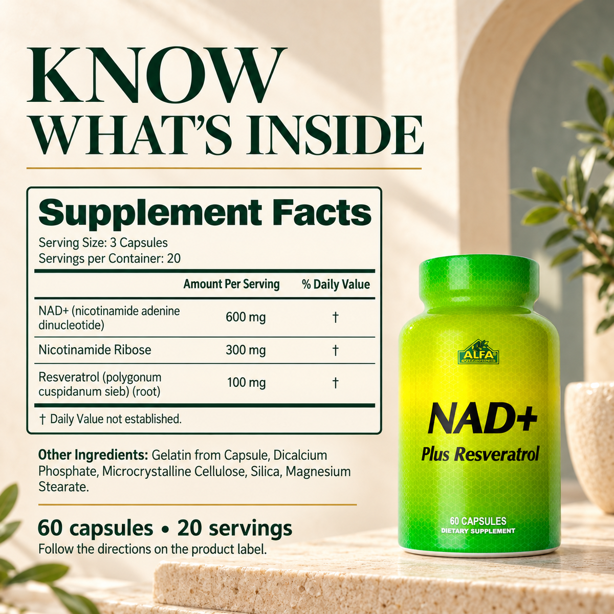 Alfa NAD+ Plus Resveratrol complete Supplement Facts and other ingredients