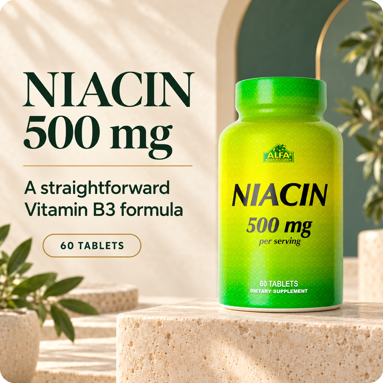 Alfa Vitamins Niacin 500 mg, 60 tablets, premium product overview.