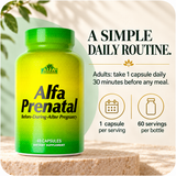 Alfa Prenatal — daily directions