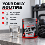 Creatine Monohydrate — routine