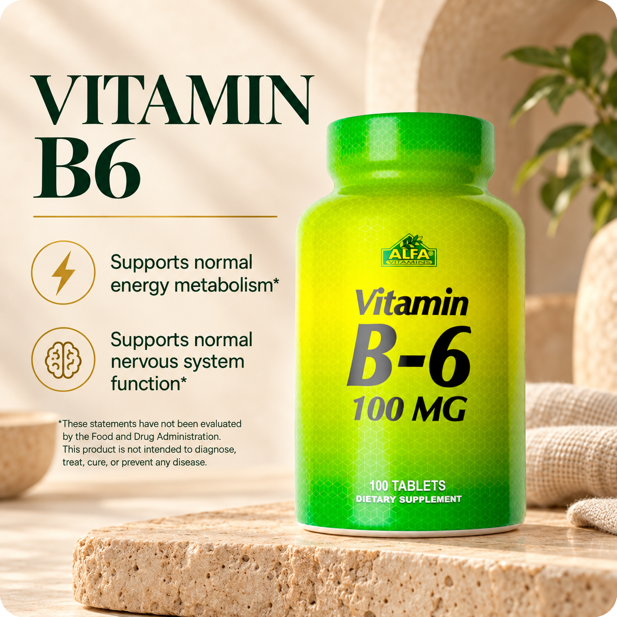 Alfa Vitamins Vitamin B6 100 mg bottle with verified daily nutrient support information.