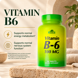 Alfa Vitamins Vitamin B6 100 mg bottle with verified daily nutrient support information.