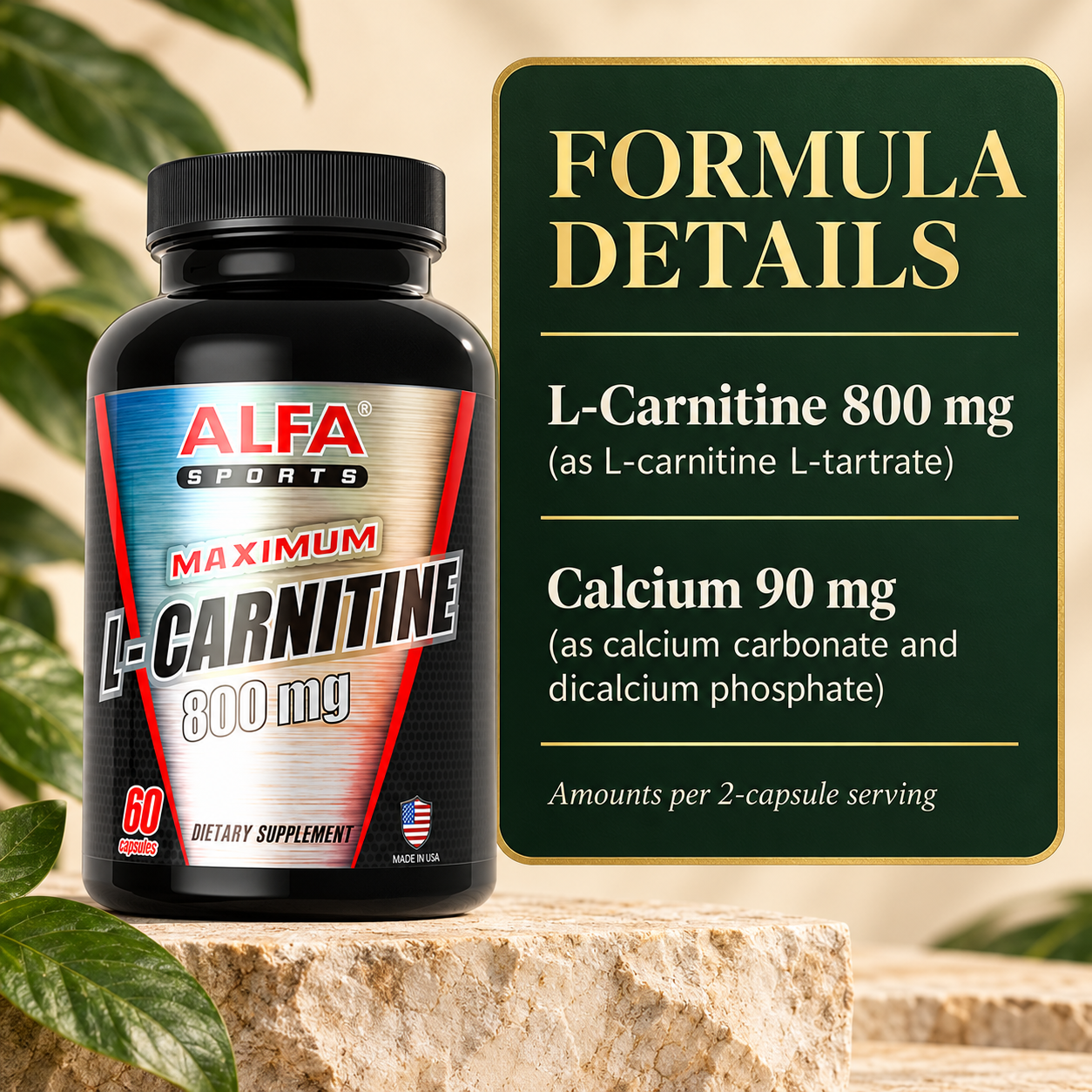 Maximum L-Carnitine source details: L-carnitine L-tartrate and calcium compounds.
