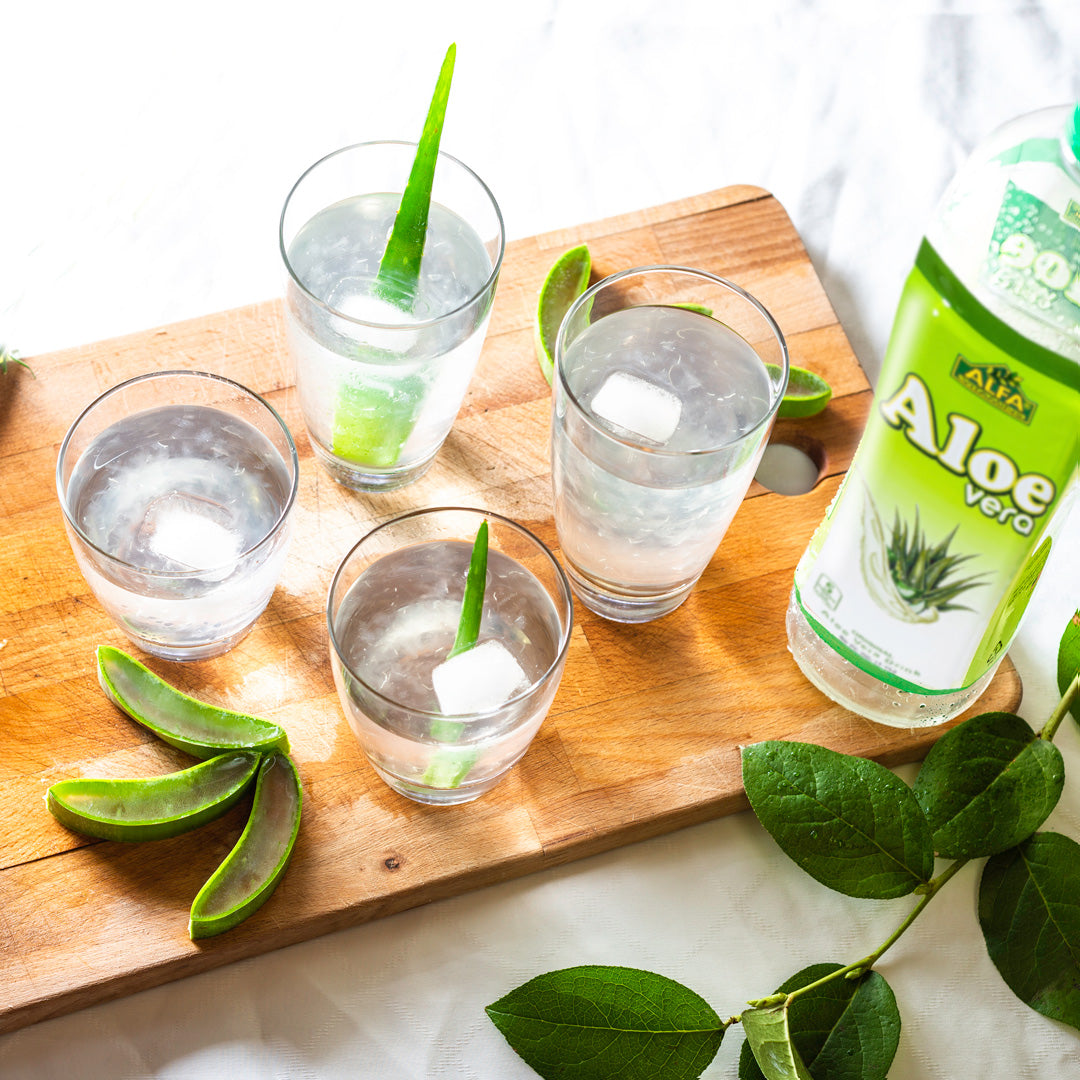 Four glasses of Alfa Vitamins Aloe Vera Drink-Original with ice cubes sit on a wooden board, embodying this superfood elixir. Fresh aloe slices are scattered around, while a Aloe Vera bottle stands nearby, offering digestive support against a lush backdrop of vibrant green leaves.