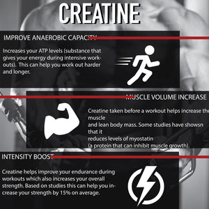 Maximum Creatine 1200 mg - Muscle Growth - 100 capsules