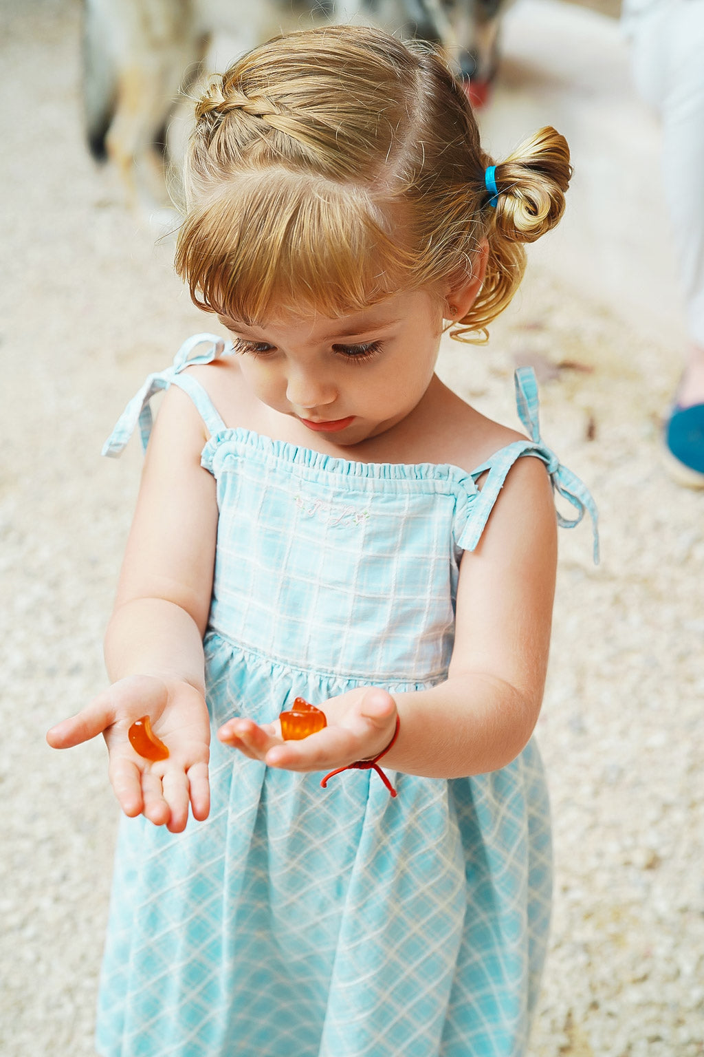 Young child in a blue checkered dress looking at orange gummies held in both hands.
