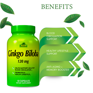 Ginkgo Biloba 120 mg - 60 capsules