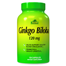 Ginkgo Biloba 120 mg - 120 capsules