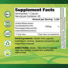 Ginkgo Biloba 120 mg - 60 capsules