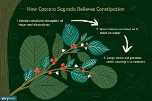Cascara Sagrada 500 mg - 60 capsules